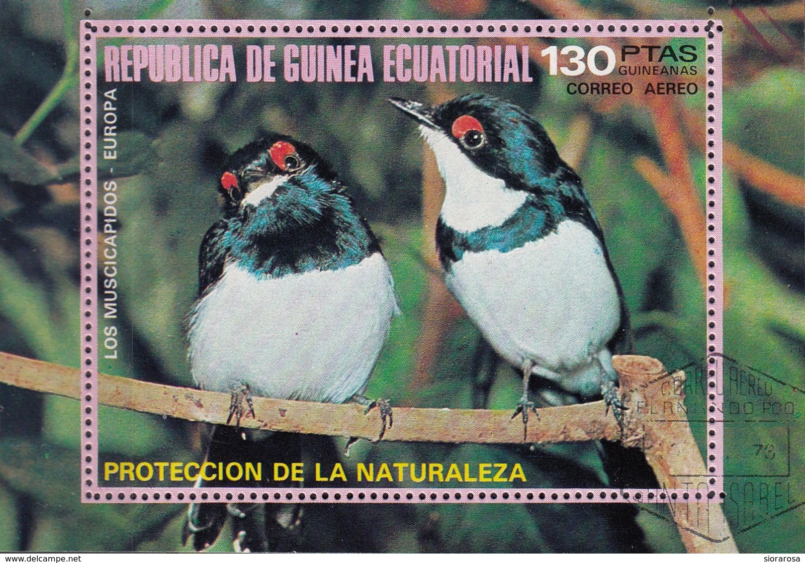 Guinea Equatoriale 1976 Bf. 236A Birds Los Muscicapidos Platysteria Peltata Sheet Perf. CTO - Guinea Equatoriale