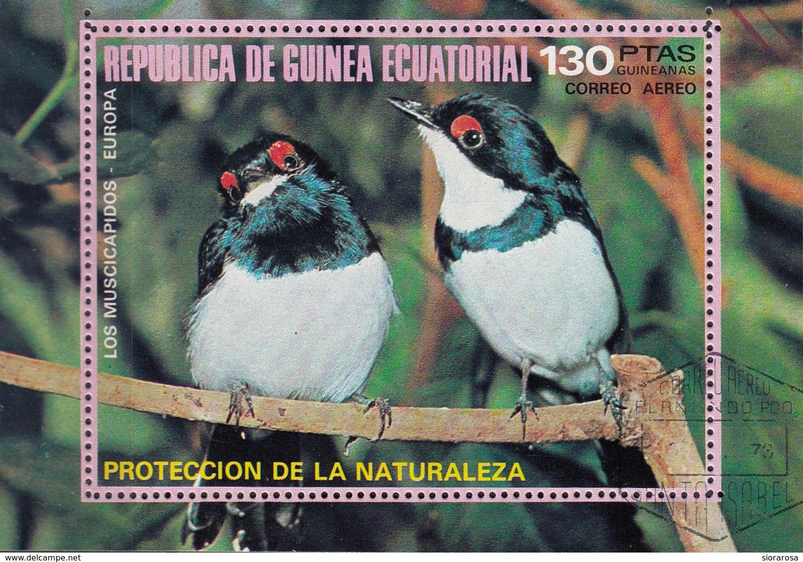 Guinea Equatoriale 1976 Bf. 236A Birds Los Muscicapidos Platysteria Peltata Sheet Perf. CTO - Passeri