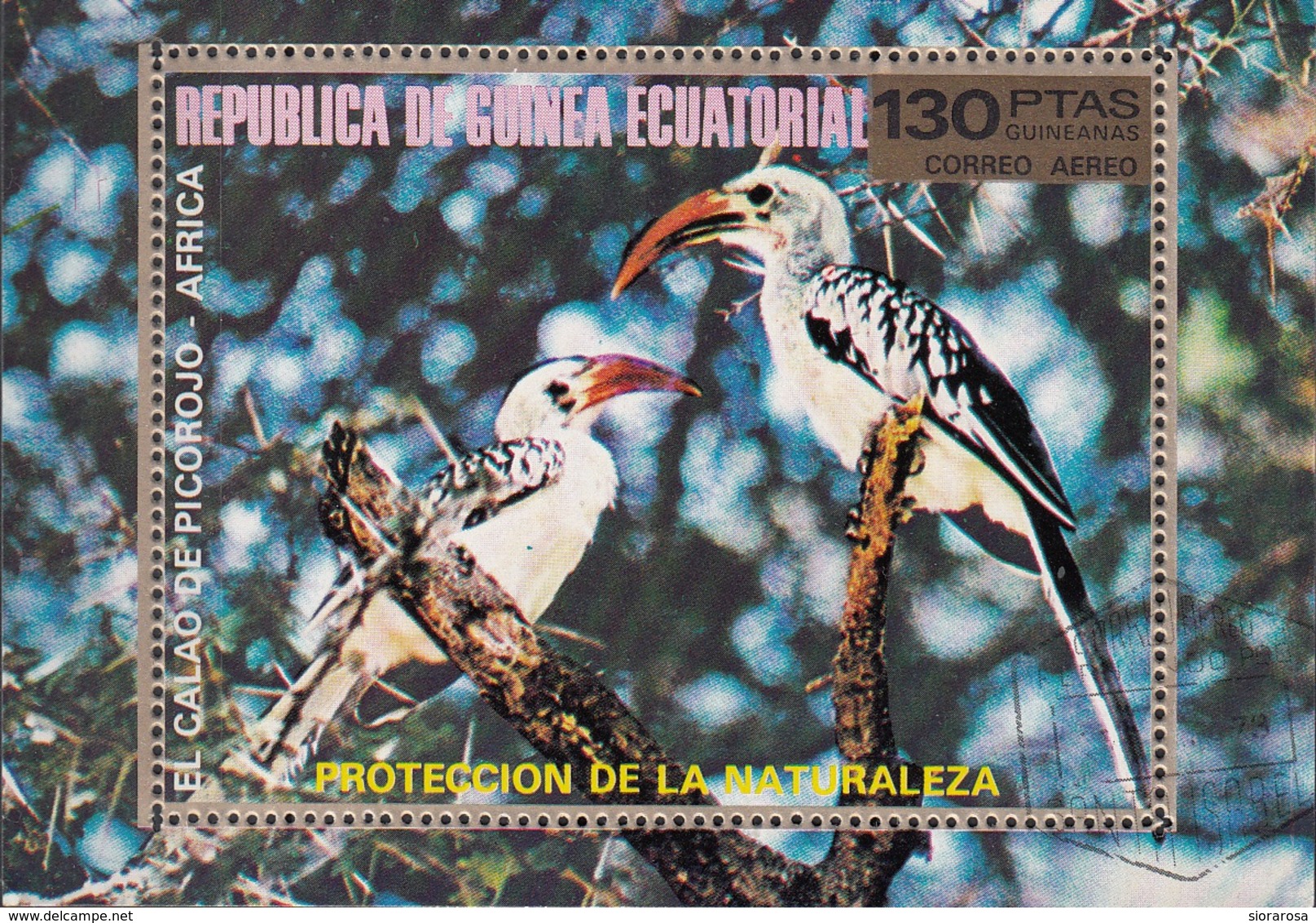 Guinea Equatoriale 1976 Bf. 246AA Birds Tockus Erythrorhynchus Bucero Beccorosso Sheet Perf. CTO - Guinea Equatoriale