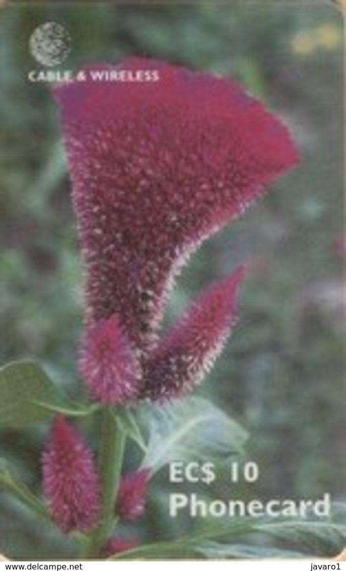 ANTIGUA :  Flower Chipcard   USED    DUMPING - Antigua U. Barbuda