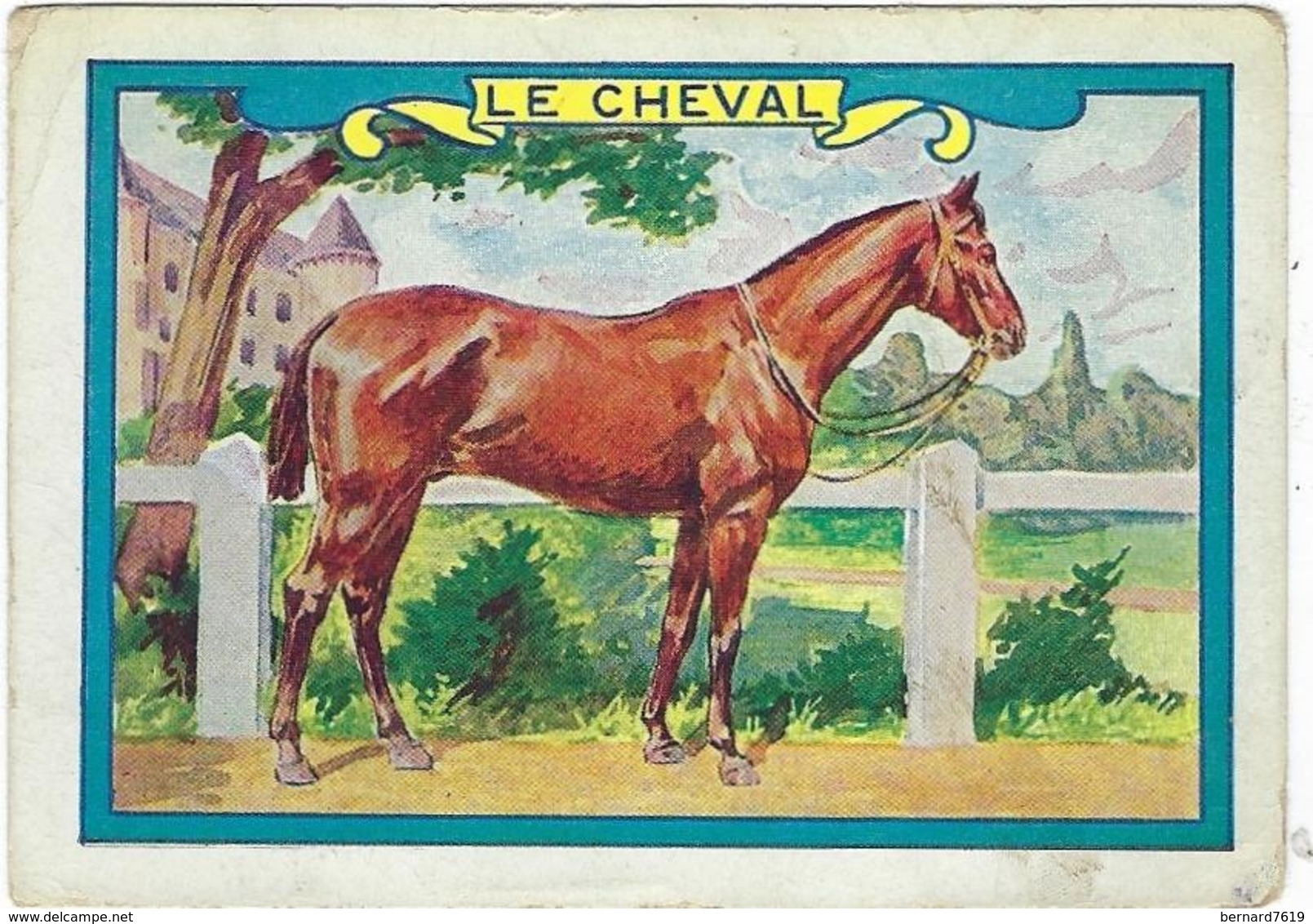 Image  Le  Cheval - Animales