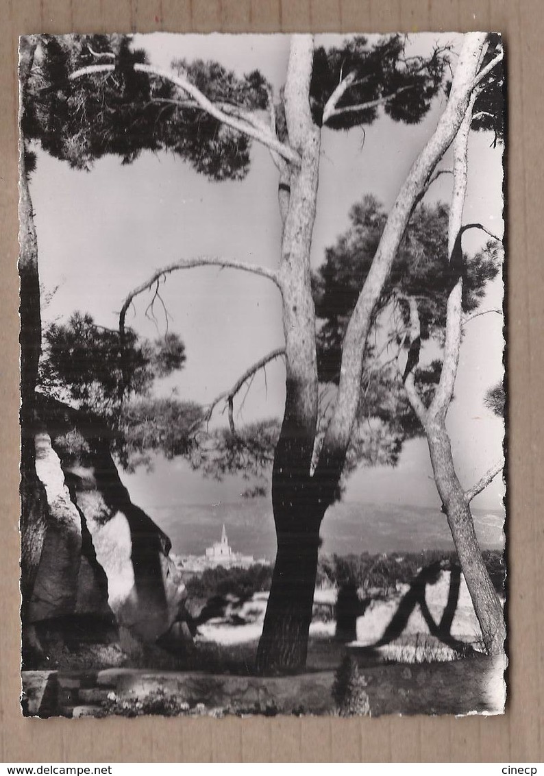 CPSM 84 - BONPAS - CHARTREUSE DE BONPAS - Vue Sur Caumont - Jolie Vue Générale Du Village à Travers Les Arbres - Caumont Sur Durance