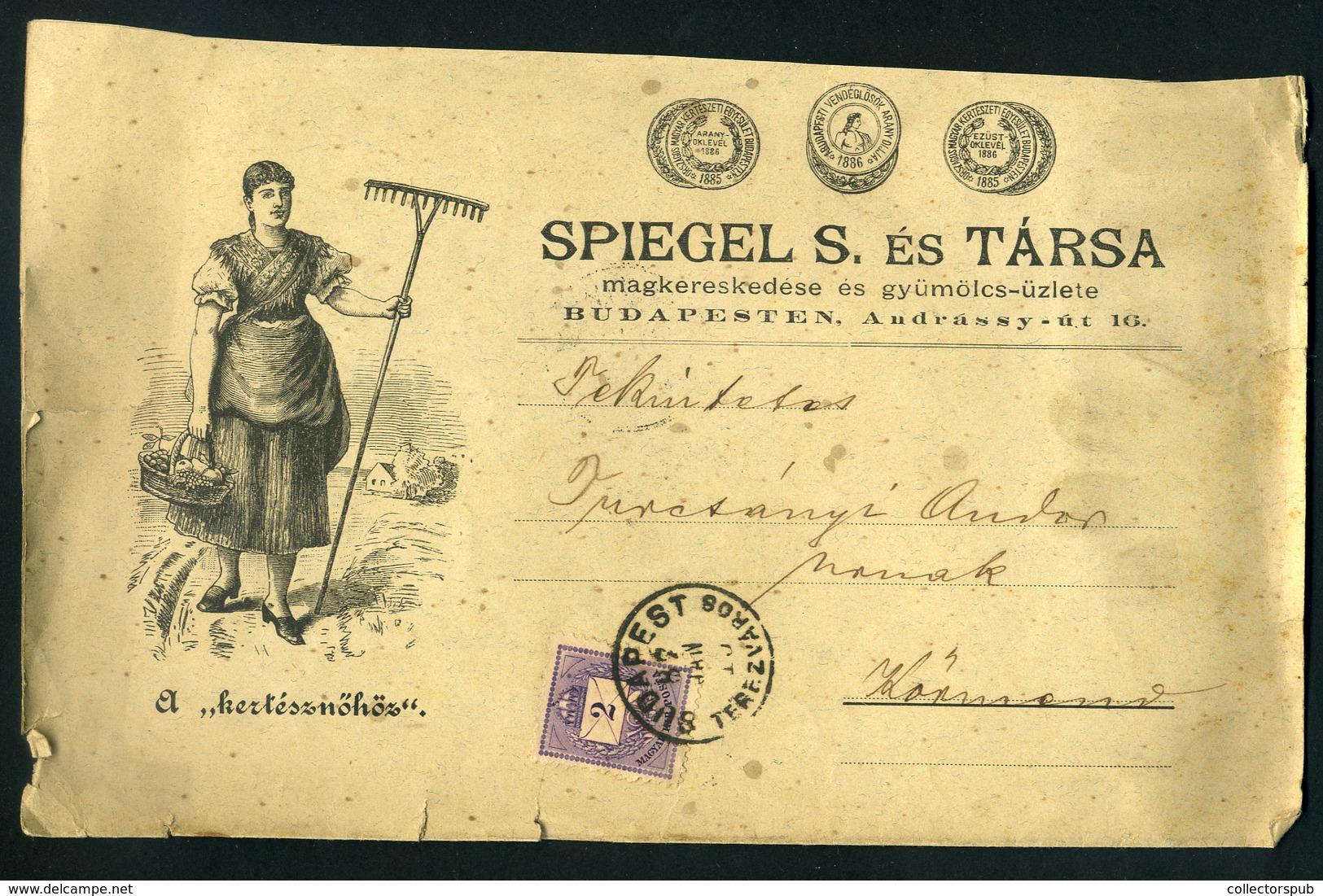 BUDAPEST 1887. Dekoratív Céges Nyomtatvány Körmendre Küldve - Used Stamps