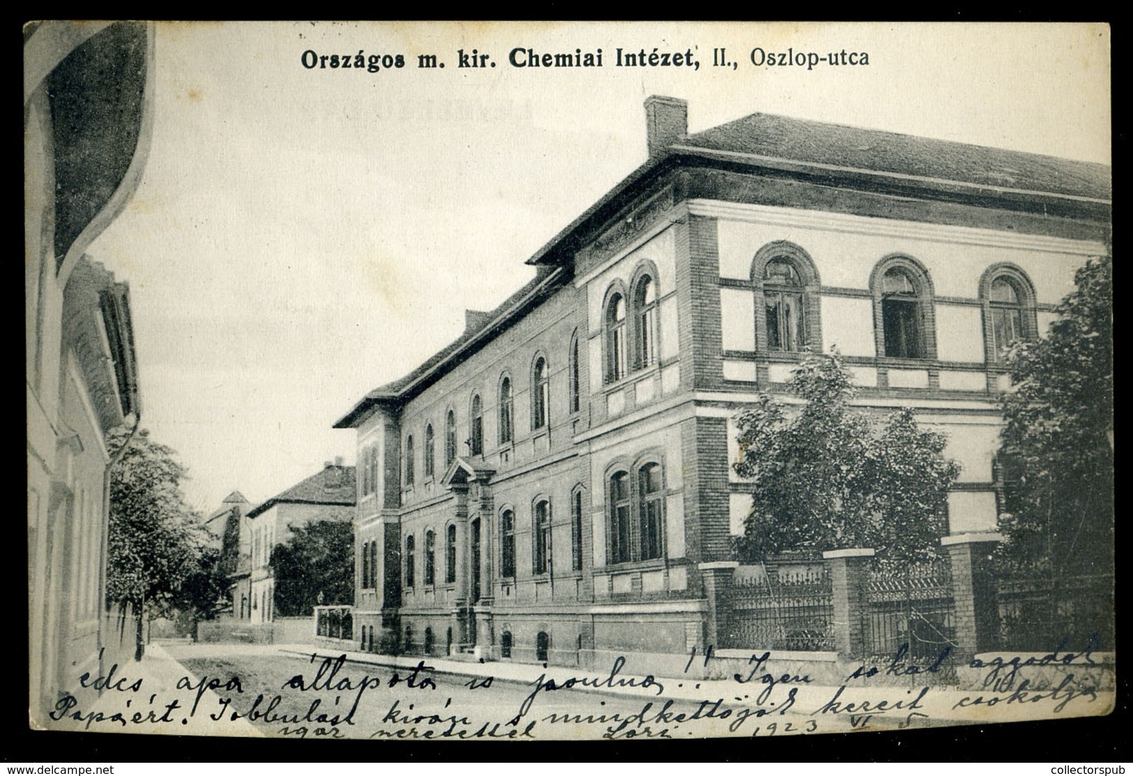 BUDAPEST II. Oszlop Utca (ma Keleti Károly Utca), Országos M. Kir. Chemiai (Kémiai) Intézet Régi Képeslap - Hongarije