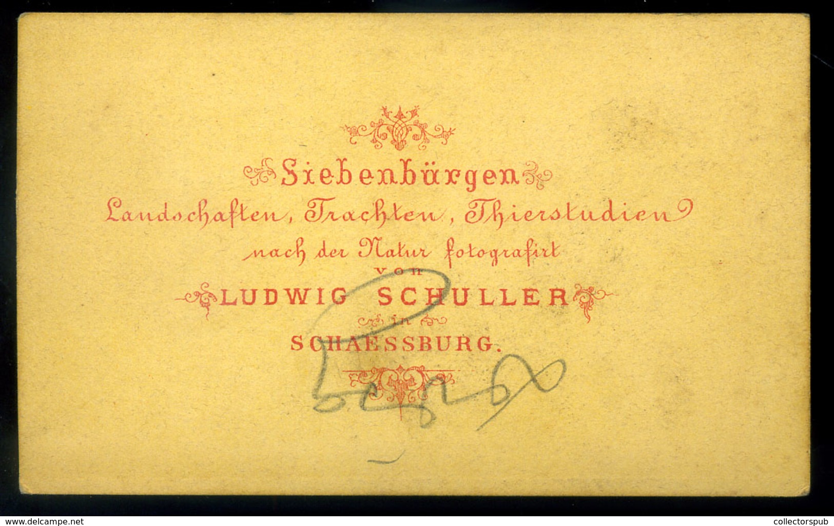 SEGESVÁR 1865-70. Ca. Látkép, Fotó : Schuller - Other & Unclassified