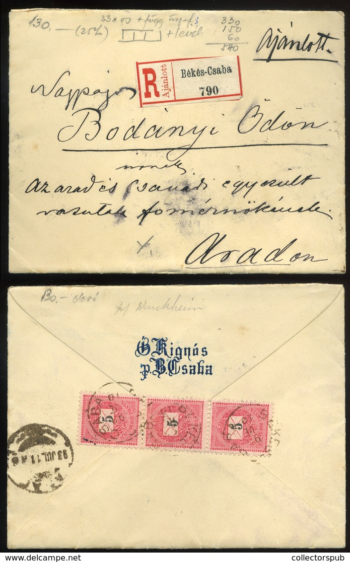 ÓKÍGYÓS 1893. Ajánlott Levél Aradra Küldve, Wenckheim Család - Used Stamps