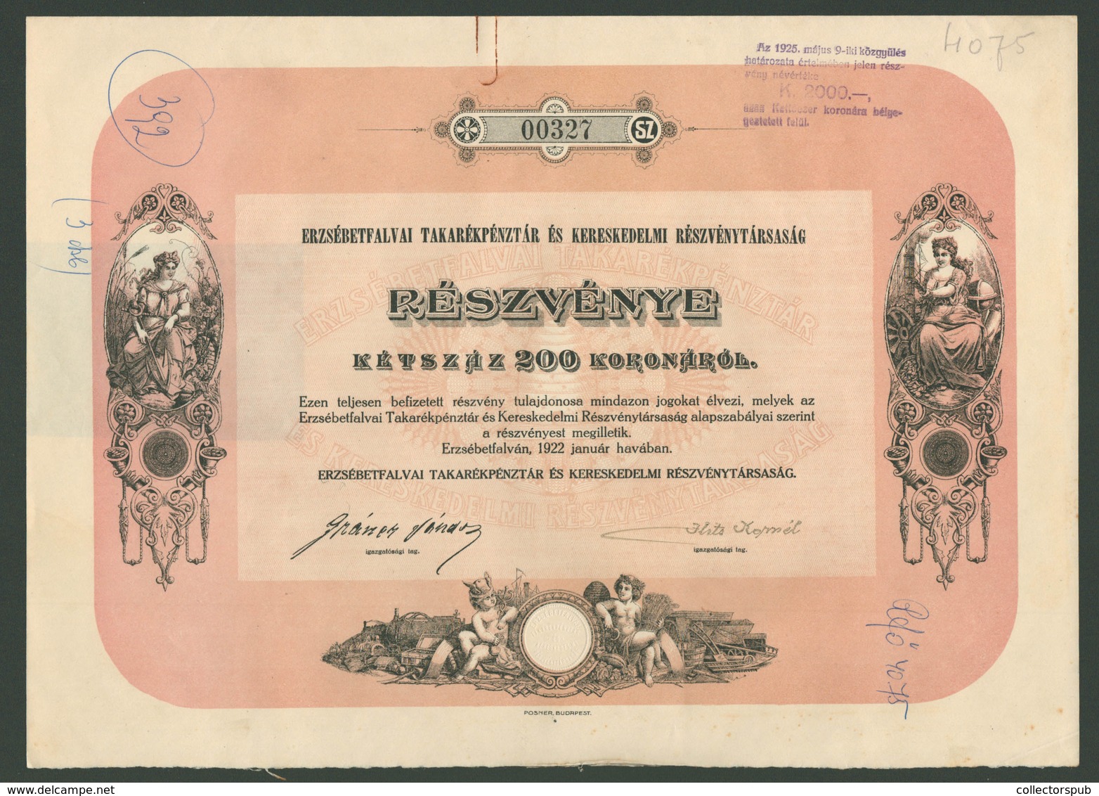 ERZSÉBETFALVA Takarékpénztár, Részvény 1922 - Unclassified