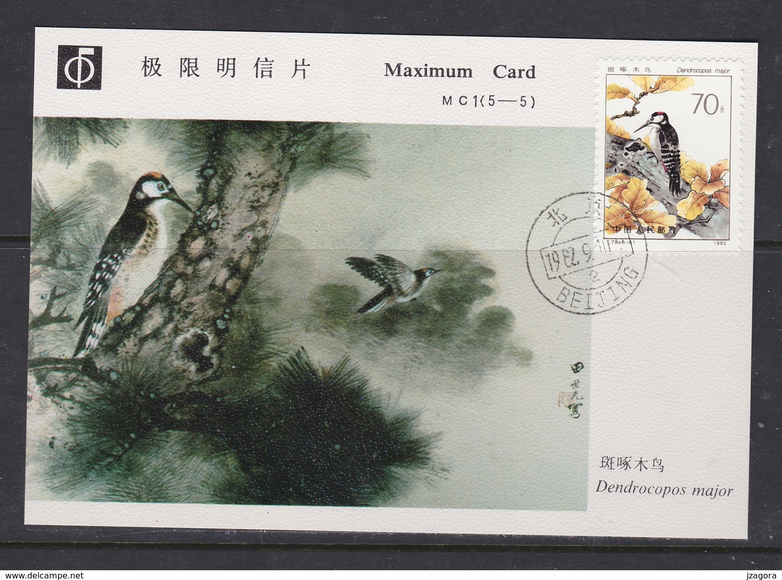 BIRDs VOGEL OISEAUX  Spotted Woodpecker Pic épeiche Buntspecht Dendrocopos Major CHINA 1982 Mi 1827 FDC  MAXIMUM CARD - Specht- & Bartvögel