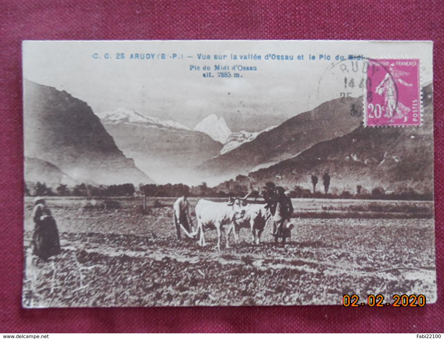 CPA - Arudy - Vue Sur La Vallée D'Osseau Et Le Pic Du Midi - Arudy