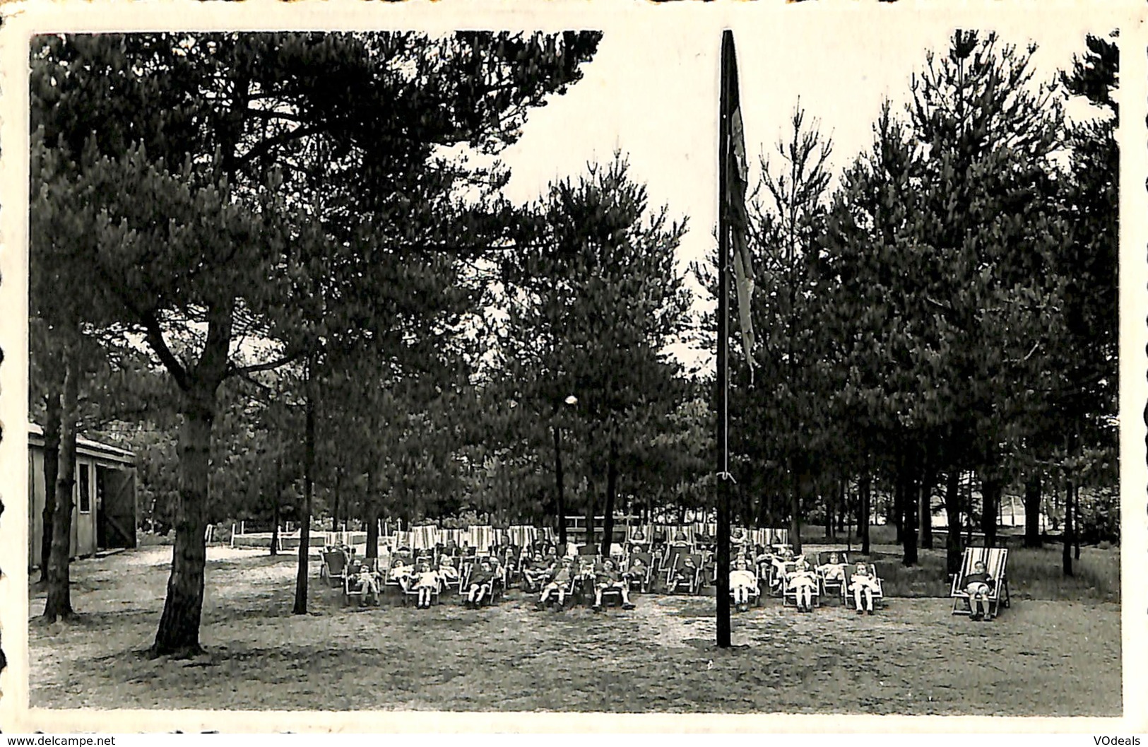 CPSM - Belgique - Zon En Hei - Te Heide-Kalmthout - Kapellen