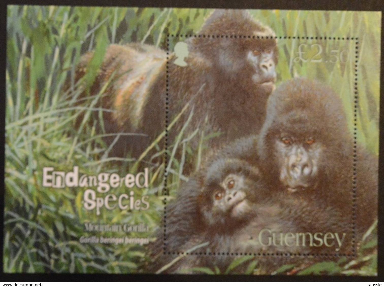 Guernsey Guernesey  2007  Yvertn° Bloc 62 *** MNH  Cote 12,50 Euro Faune Gorilla - Guernesey