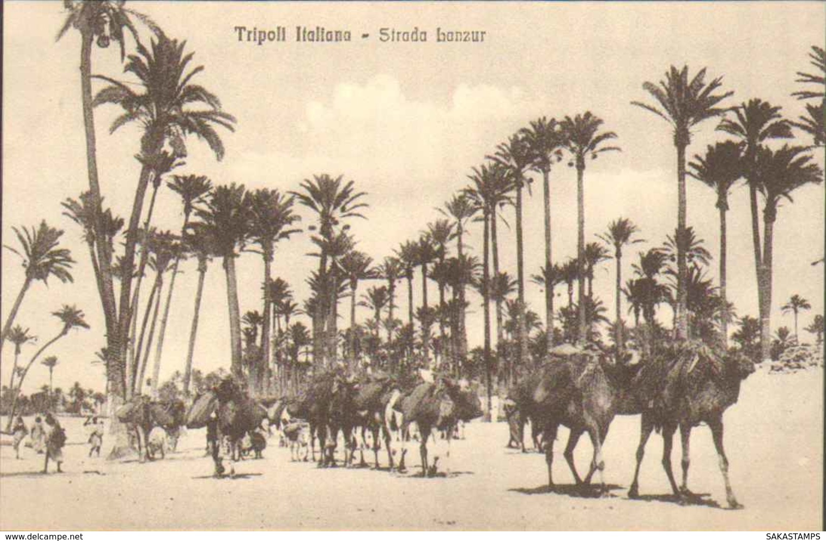 1911/12-"Guerra Italo-Turca,Tripoli Italiana Strada Lanzur"assolutamente Perfetta - Altre Guerre