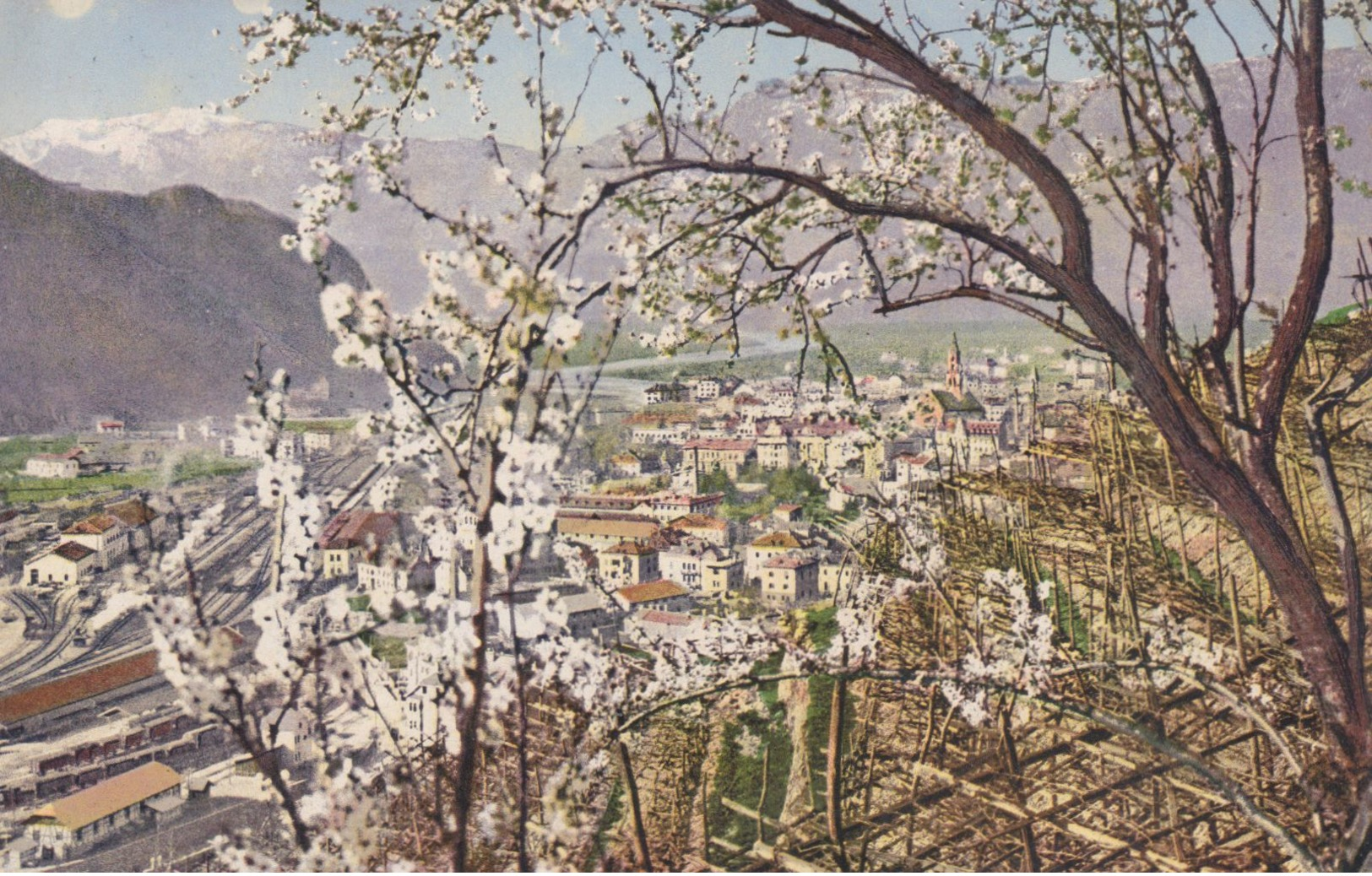 1915ca.-Sudtirolo, Bolzano, Panorama Della Cittadina, Immagine Primaverile, Viaggiata - Bolzano (Bozen)