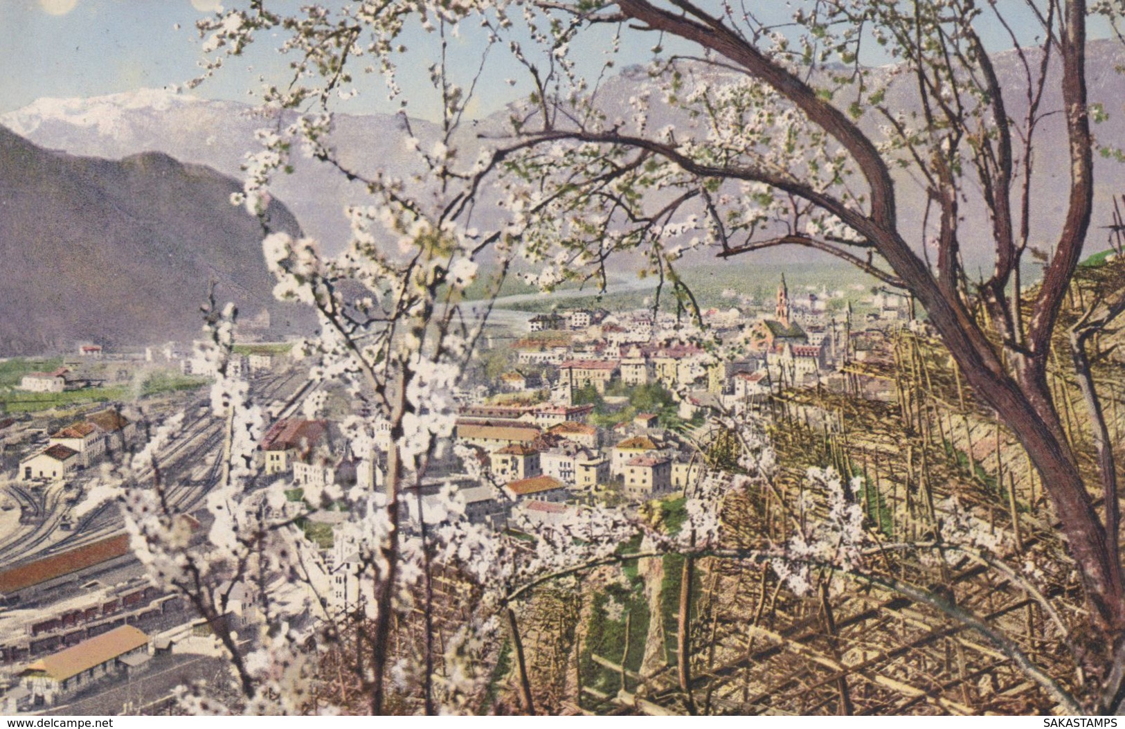 1915ca.-Sudtirolo, Bolzano, Panorama Della Cittadina, Immagine Primaverile, Viaggiata - Bolzano