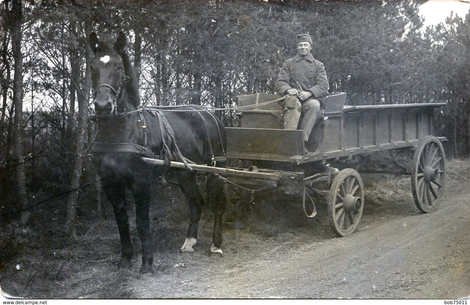 Carte Photo D'un Soldat Francais Souriant Assis Sur Sont Chariot Tiré Par Un Cheval Sur Une Route De Foret - Guerre, Militaire