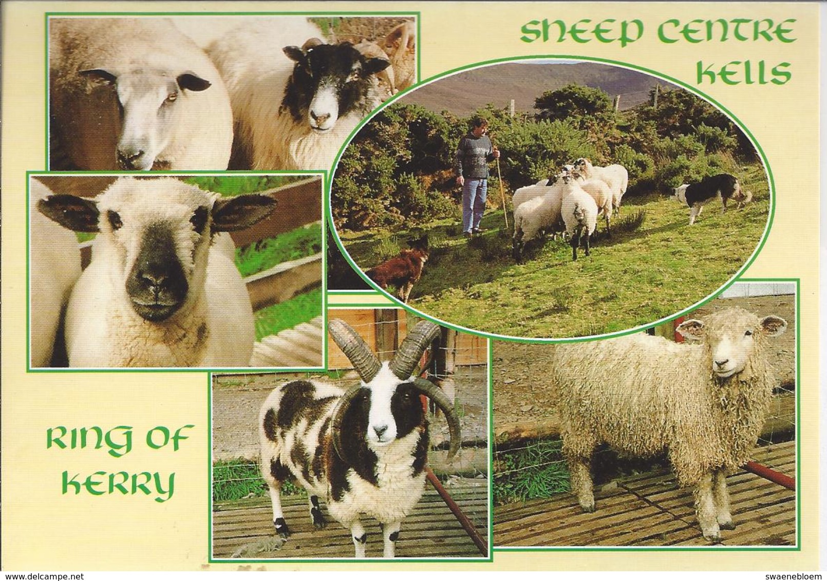 IE.- SHEEP CENTRE KELLS. RING OF KERRY. IRELAND. Ongelopen. - Autres & Non Classés