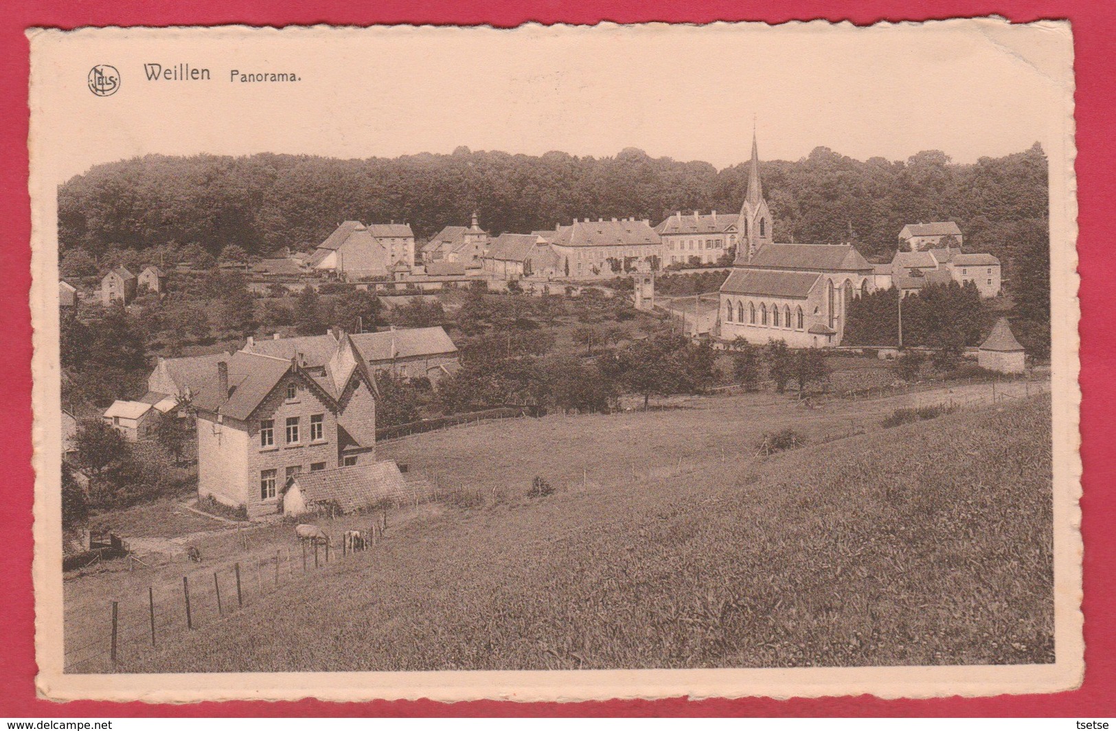 Weillen - Panorama ... Du Village - 1952 ( Voir Verso ) - Onhaye