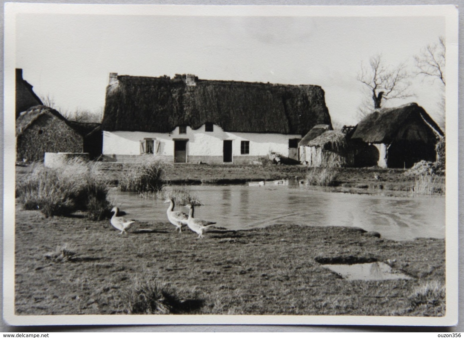 Breca (Loire-Atlantique), En Grande Brière - Saint-Lyphard