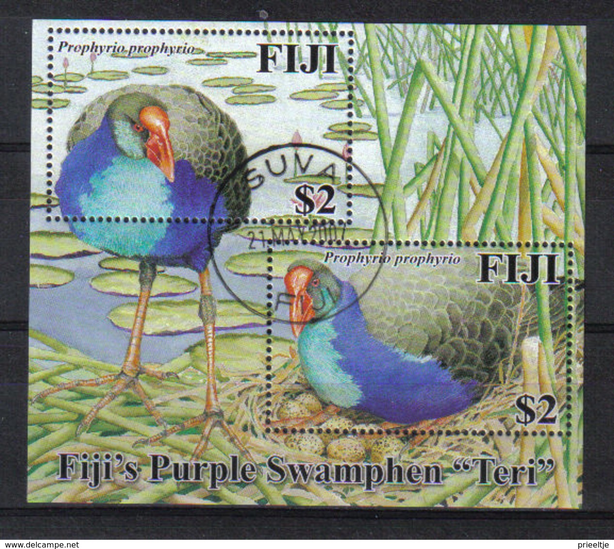 Fiji 2006 Purple Swamphen S/S Y.T. BF 50 (0) - Fidji (1970-...)