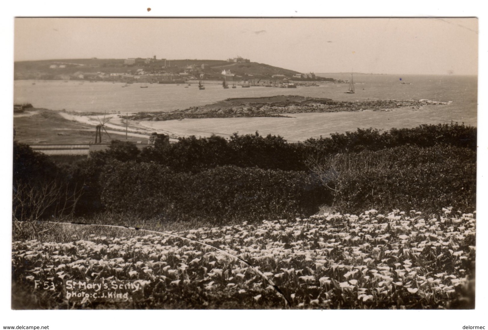 Post Card Photo Photography C.J. King St Mary Isles Of Scilly F 53 - Scilly Isles