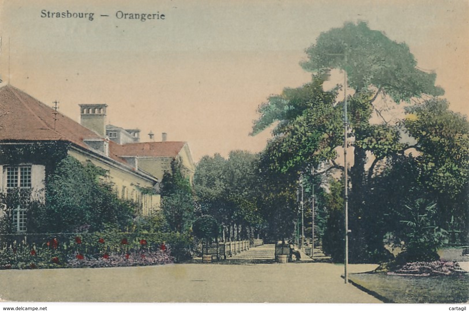 Lot -L400 -67- Strasbourg Orangerie -Belle sélection  de 38  cartes postales ( scans et description)