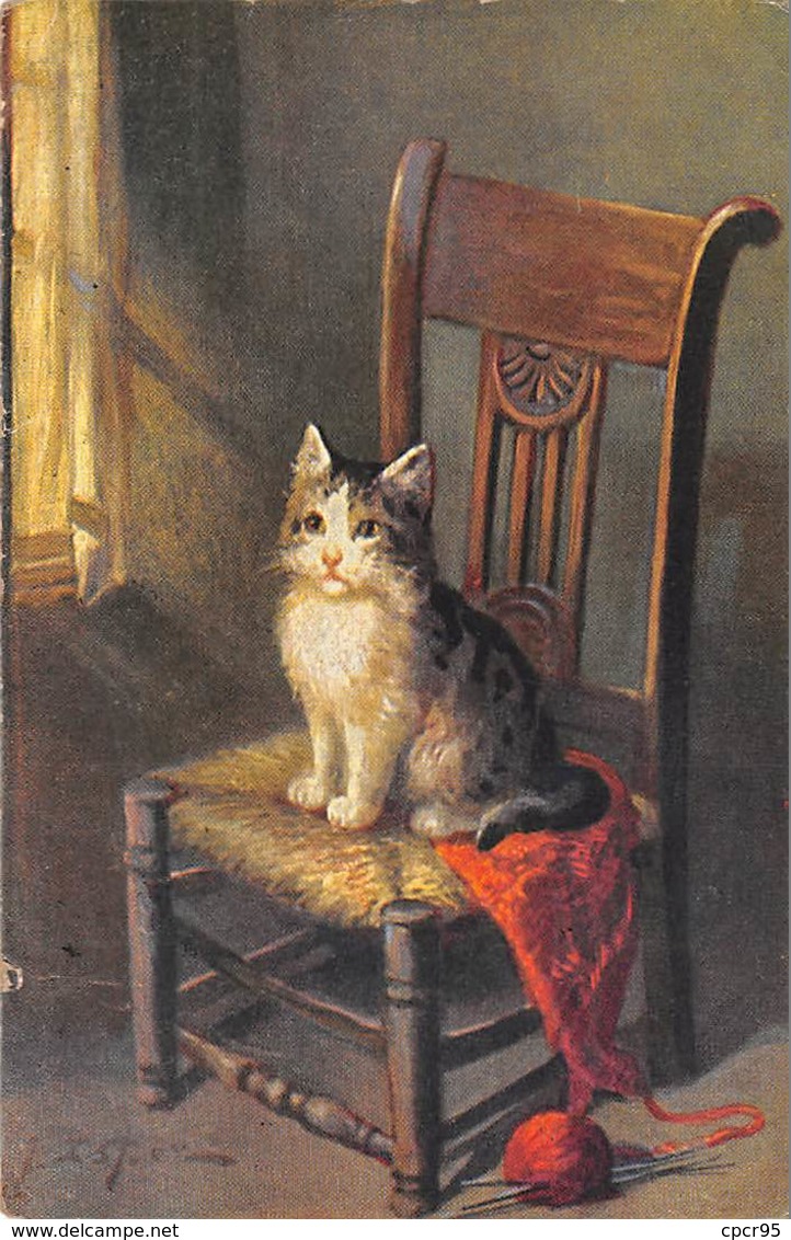 Animaux - N°64041 - Chat Assis Sur Une Chaise - Gatos