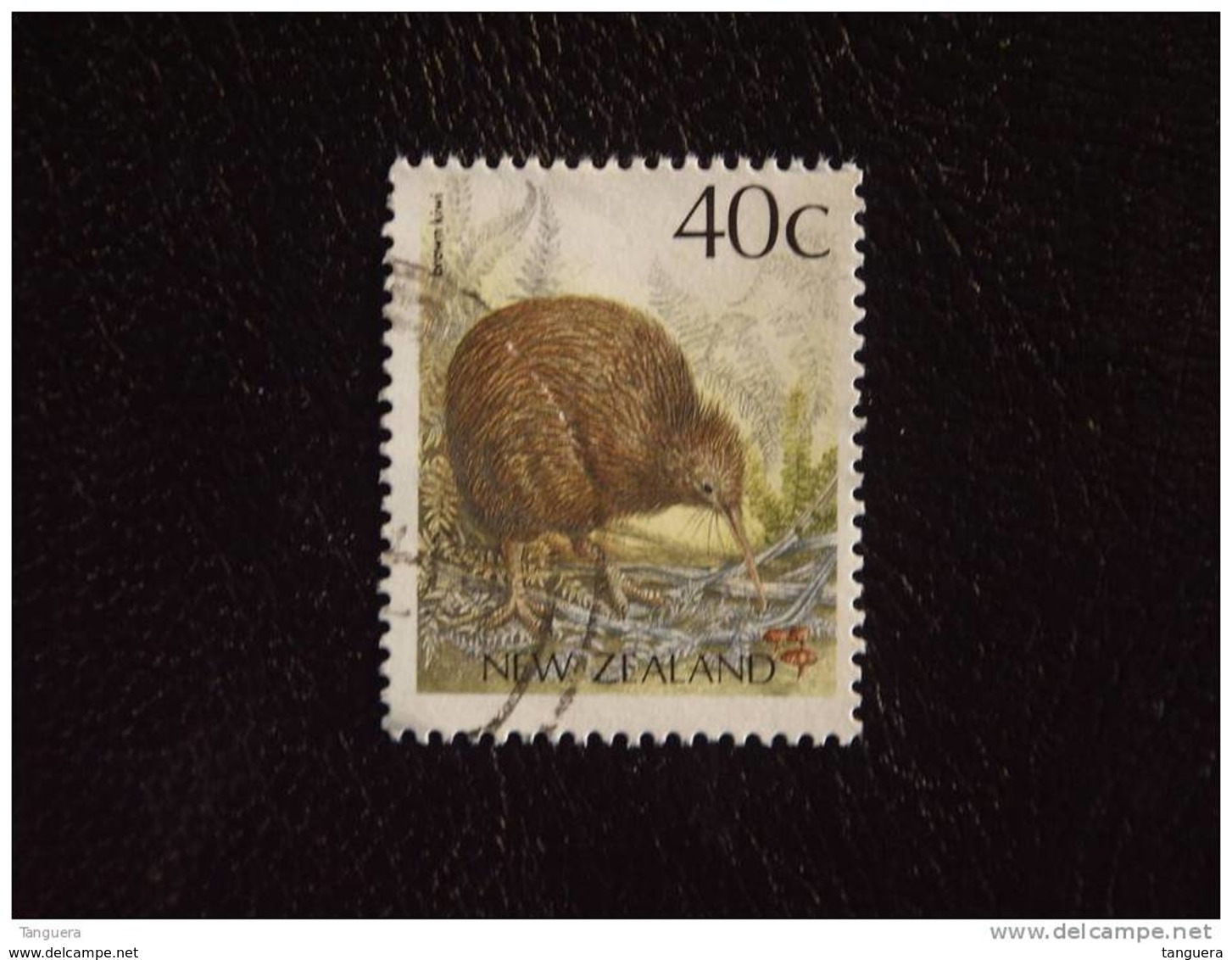 Nieuw-Zeeland Nouvelle-Zélande New Zealand  Brown Kiwi  Décentralisé Yv 1014 O - Kiwis