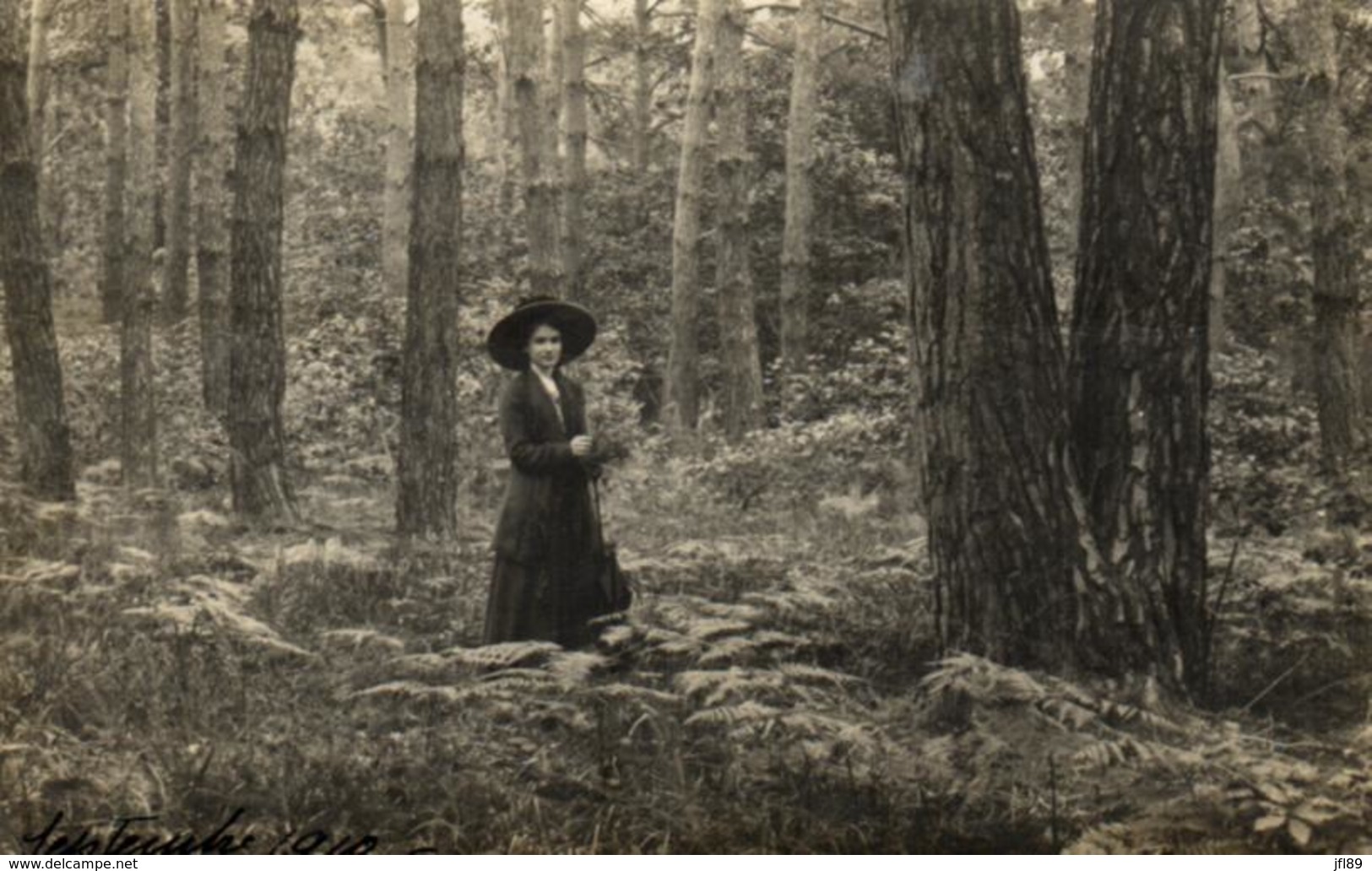 A Identifier - Promenade En Forêt - D 3130 - To Identify