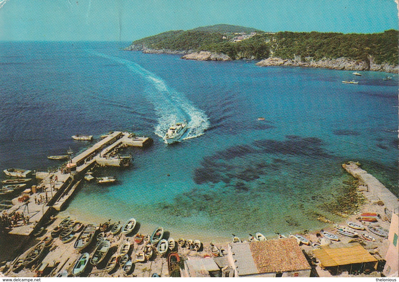 * Cartolina - Isole Tremiti - Arrivo Dell'aliscafo Al Porticciolo Di S. Nicola - Viaggiata 1982 - Foggia