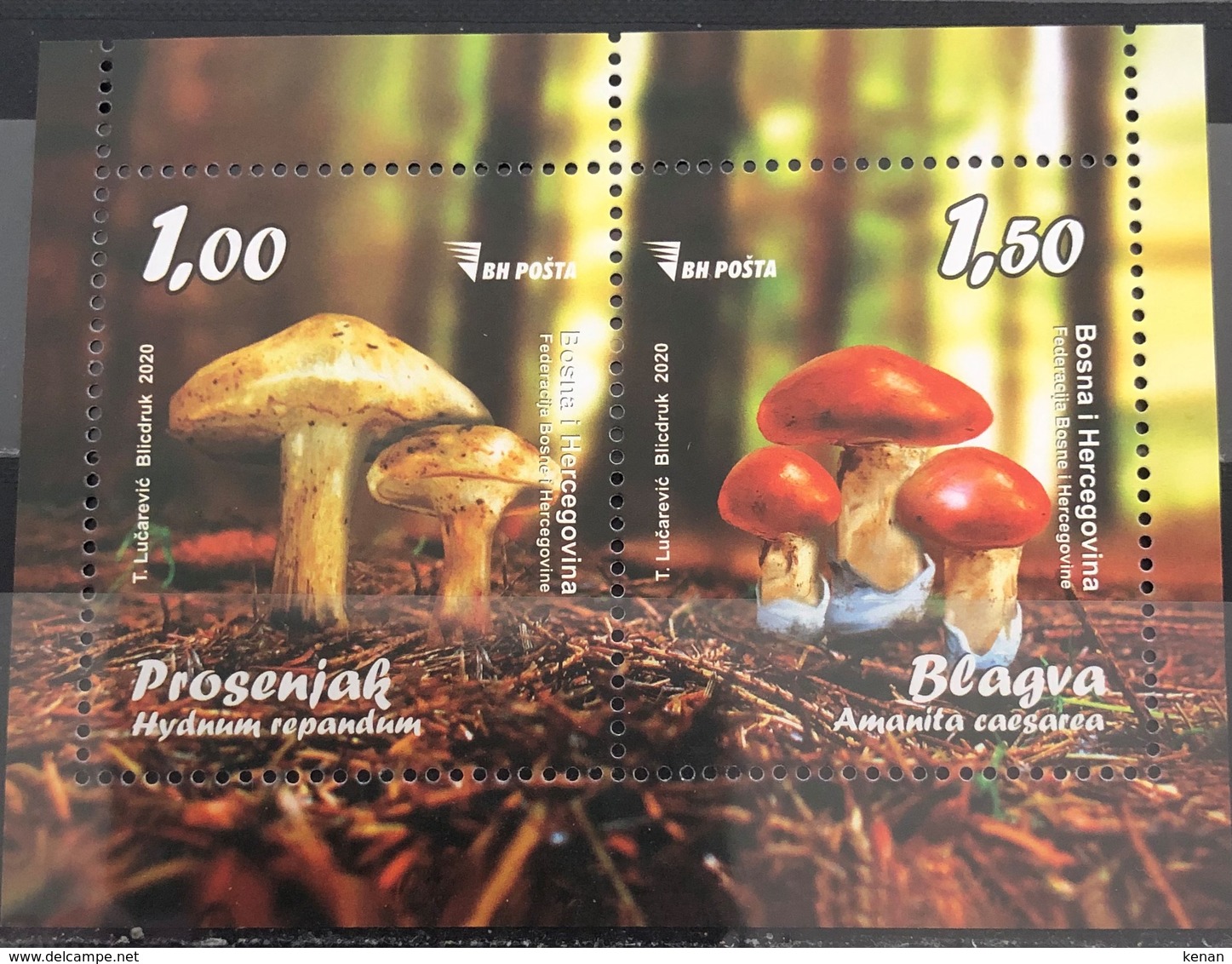 Bosnia And Hercegovina, 2020, Mushrooms, Block (MNH) - Funghi