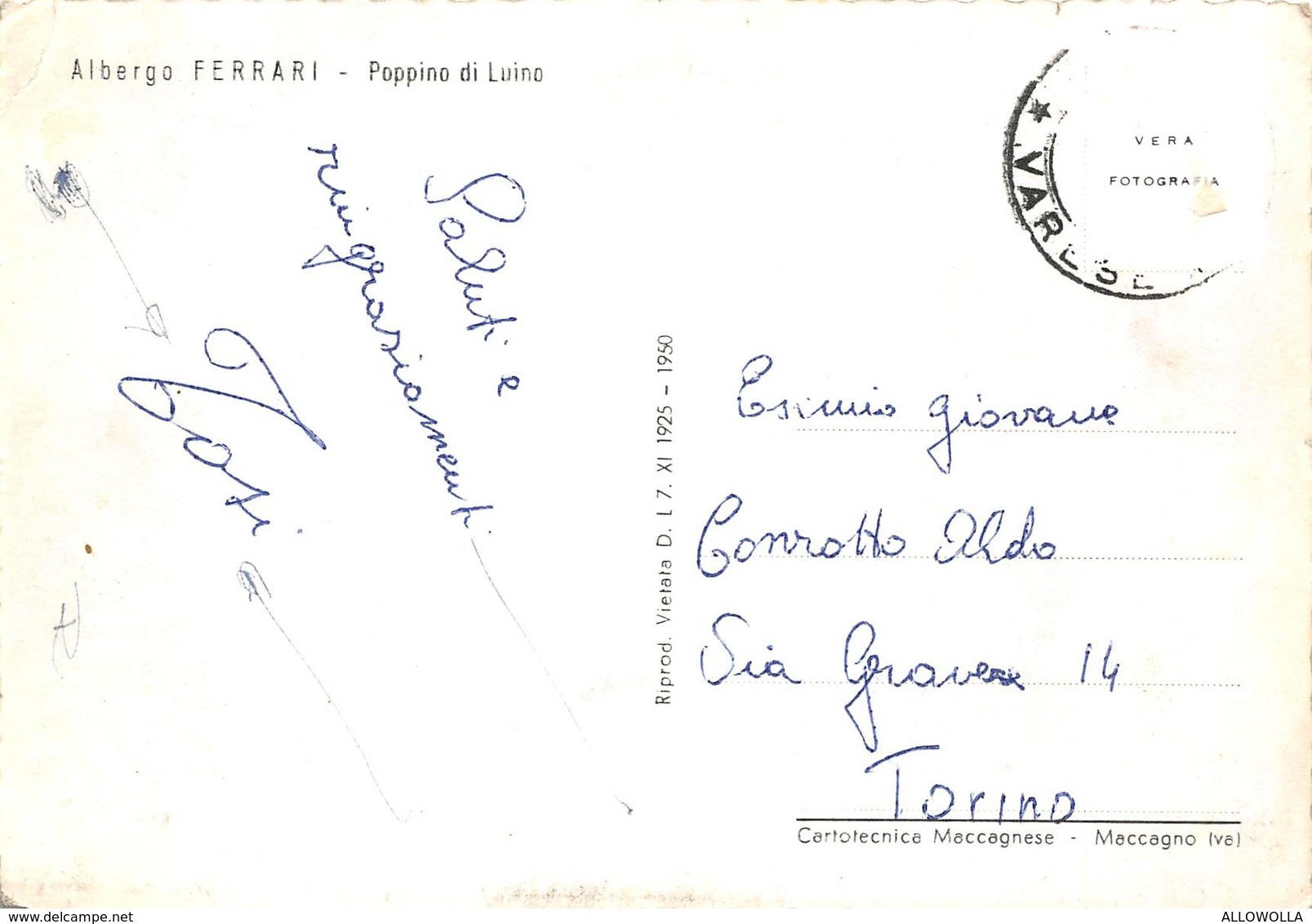 6517 " POPPINO DI LUINO-PANORAMA- M.500 S.m. "- CART. POST. ORIG. SPEDITA - Luino