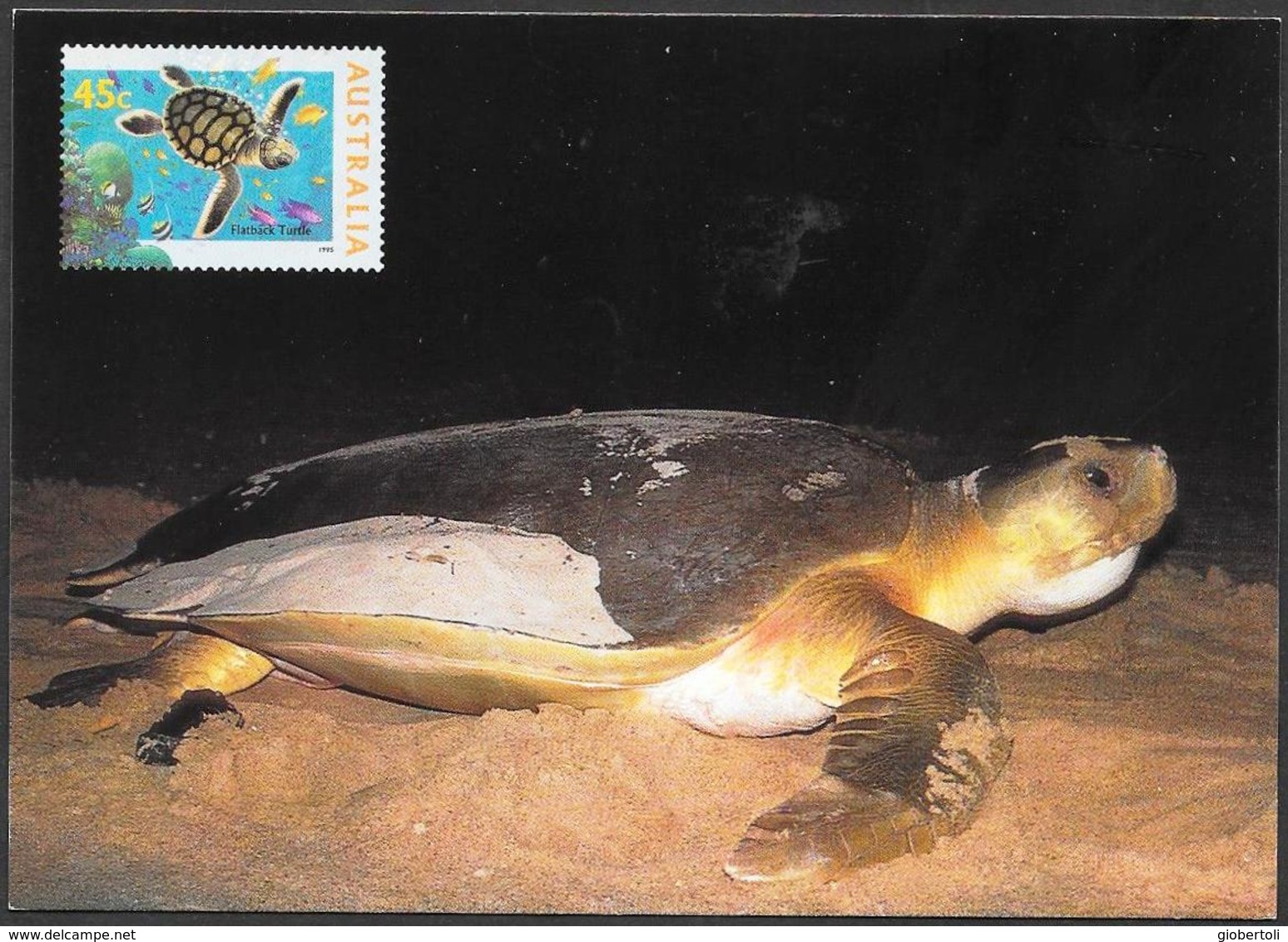 Australia/Australie: Intero, Stationery, Entier, Tartaruga A Dorso Piatto, Flatback Turtle, (Natator Depressus) - Tortues