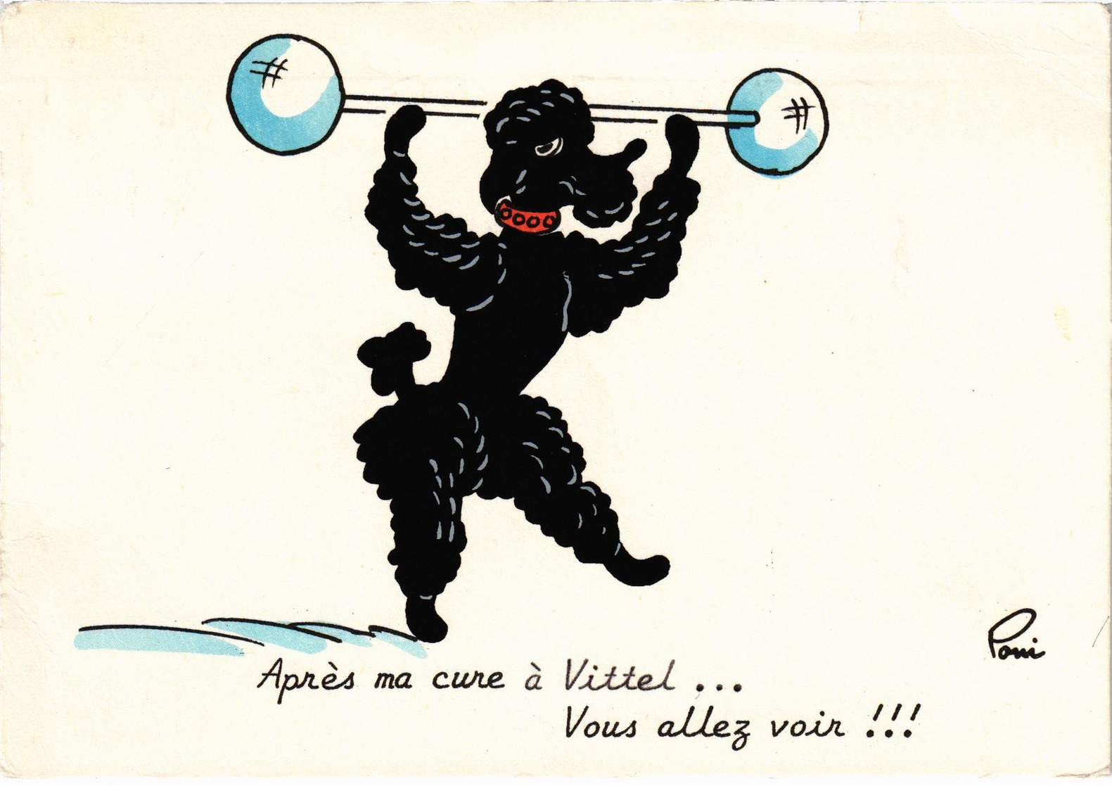 FANTAISIE - Caniche Avec Altère -  "Après Ma Cure à Vittel... Vous Allez Voir !!!" TT Rare - Illustration POMI - Posté - Autres & Non Classés