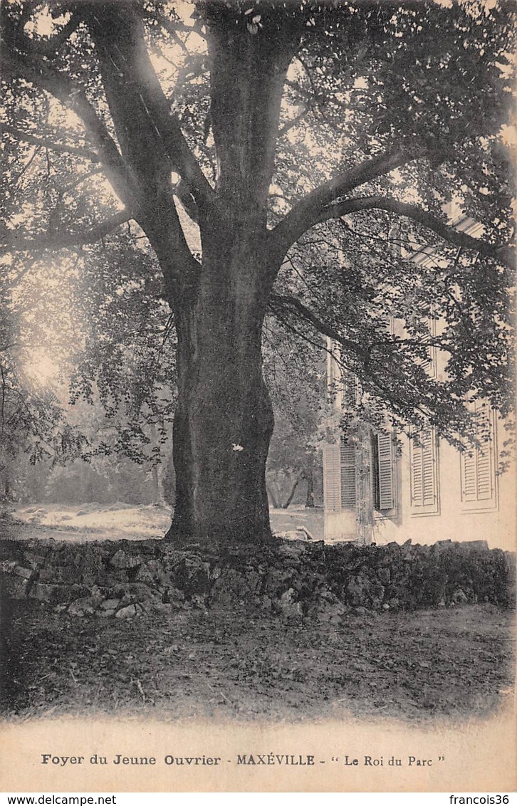 (54) Maxévile - Foyer Du Jeune Ouvrier - Arbre " Le Roi Du Parc " - 1922 - Maxeville