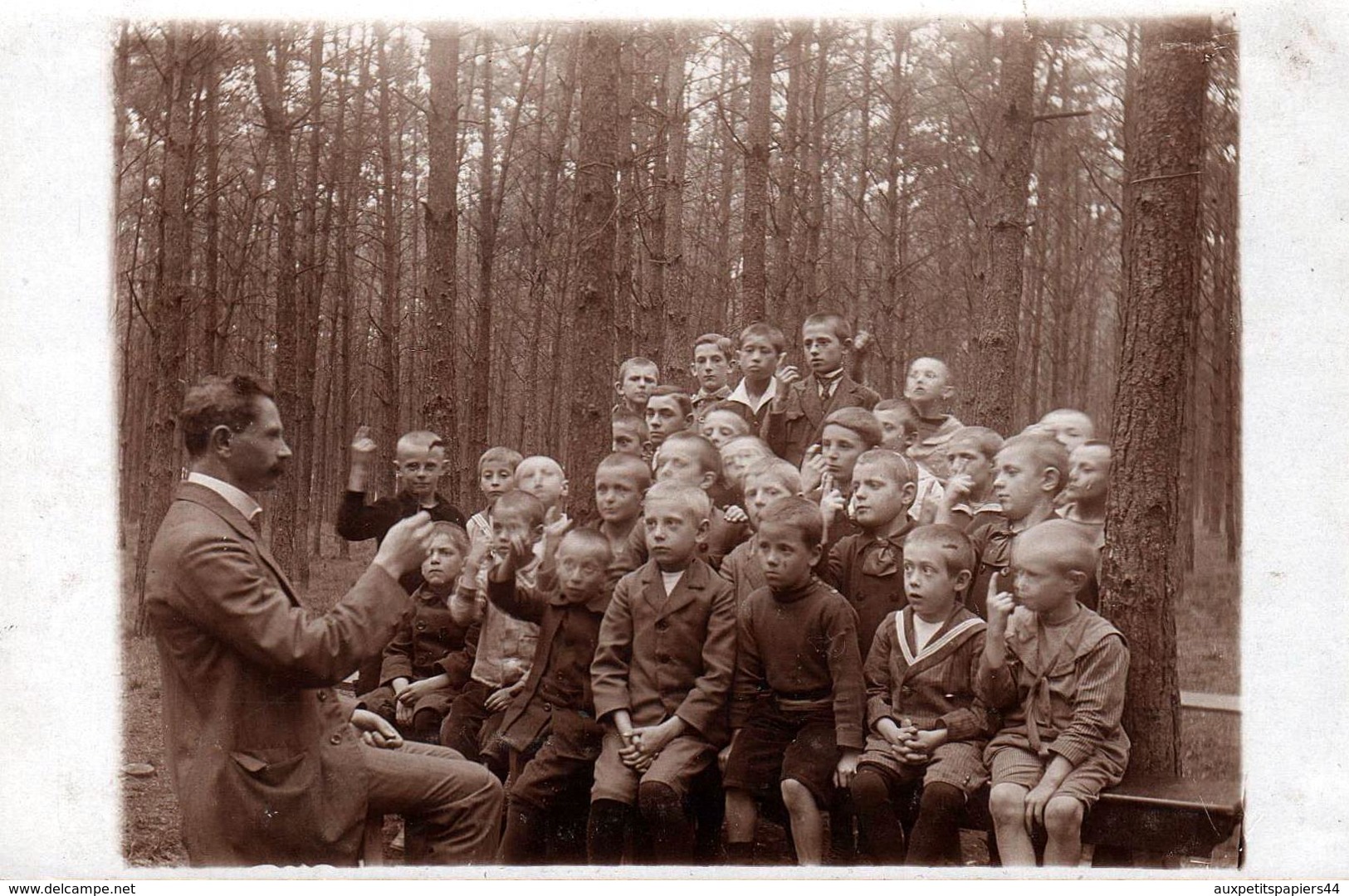 Carte Photo Originale Scolaire Groupe D'écoliers En Forêt - Interrogation Orale, On Lève De Doigt Vers 1910/20 - Personnes Anonymes