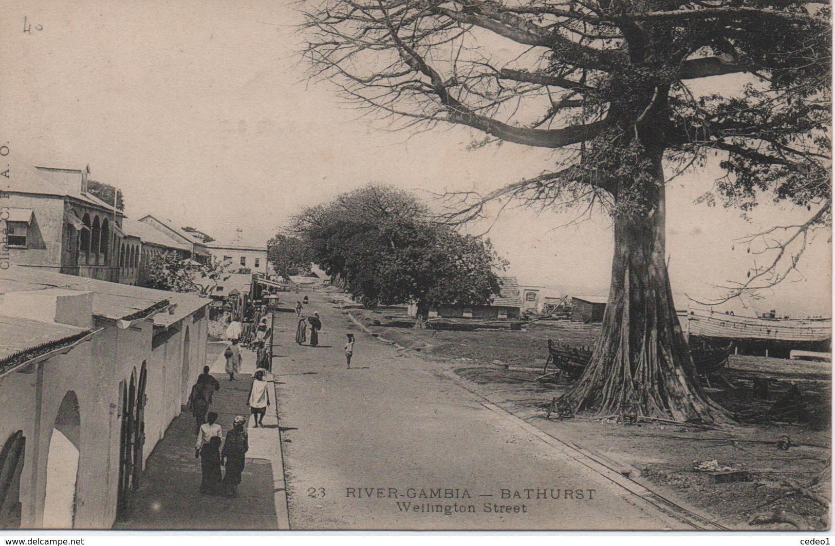 RIVER GAMBIA  BATHURST  WELLINGTON STREET   EN 1908 - Gambia