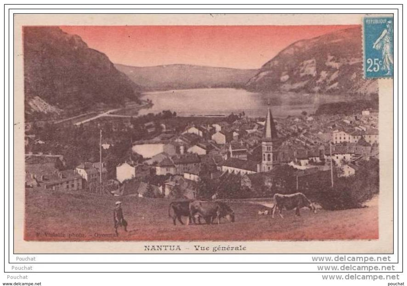 01) Nantua - Vue Générale  - (animée - Vaches) - Nantua