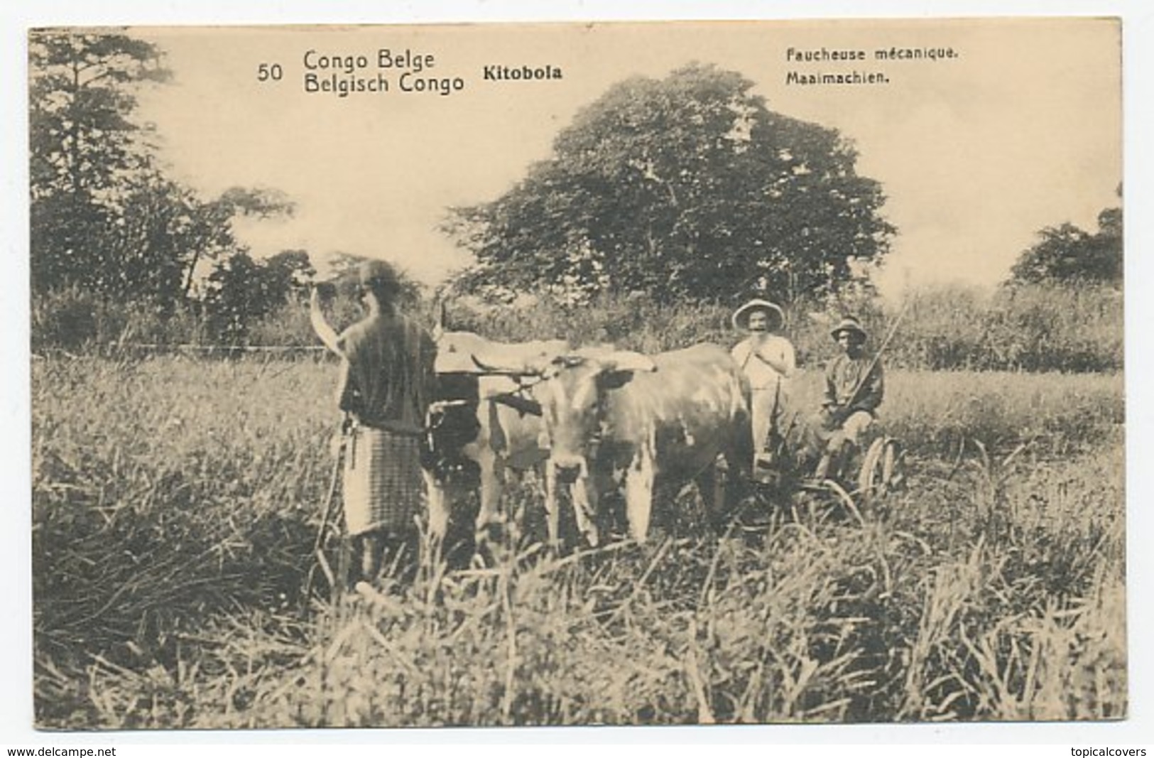 Postal Stationery Belgian Congo Kitobola - Mowing Machine - Ox - Agricoltura