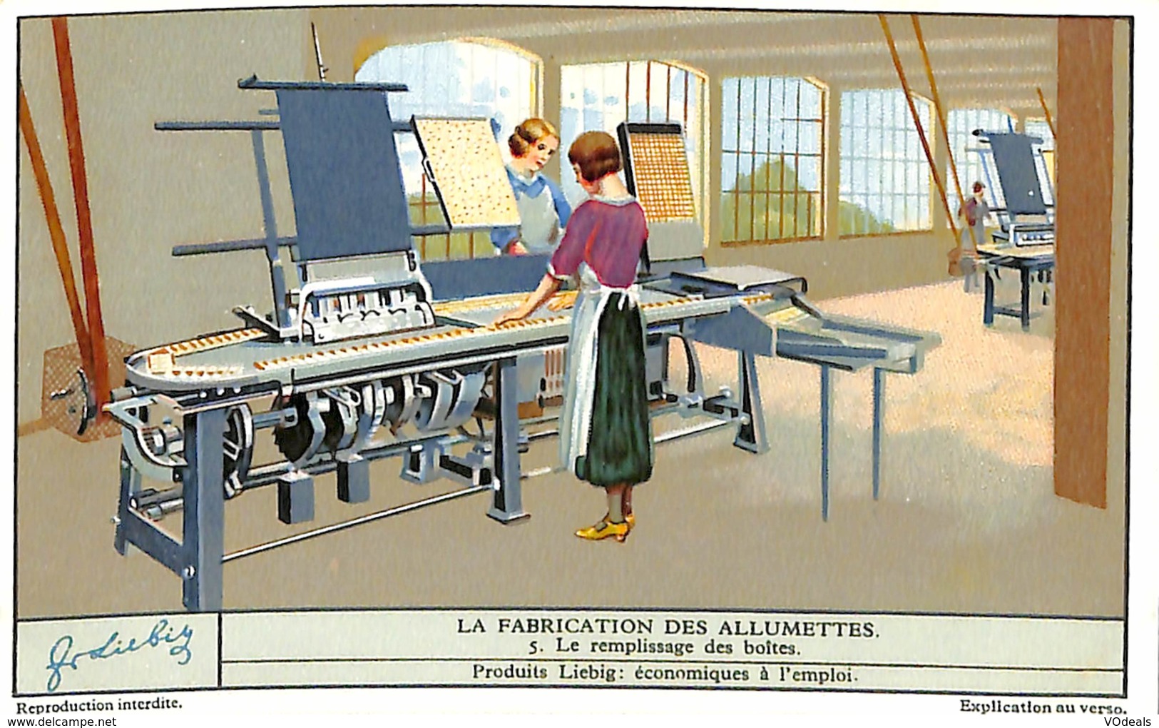 6 Chromos - Liebig - La Fabrication Des Allumettes - Liebig