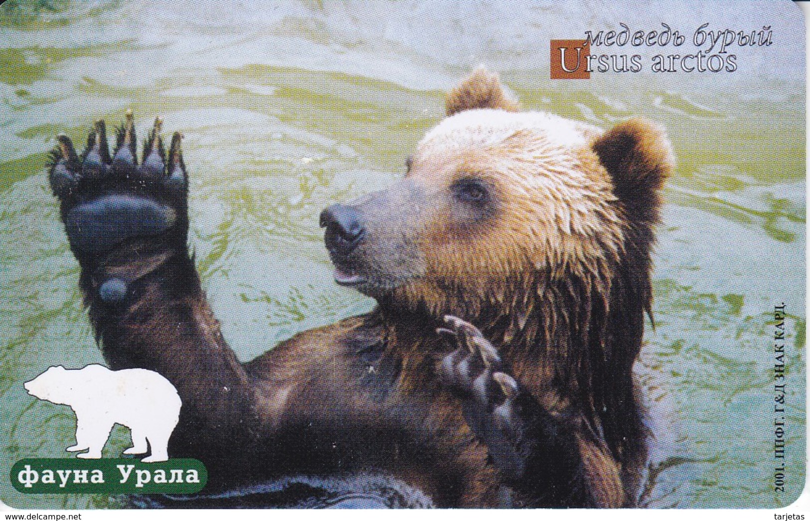 TARJETA DE RUSIA DE 100 UNITS DE UN OSO (BEAR) - Rusia