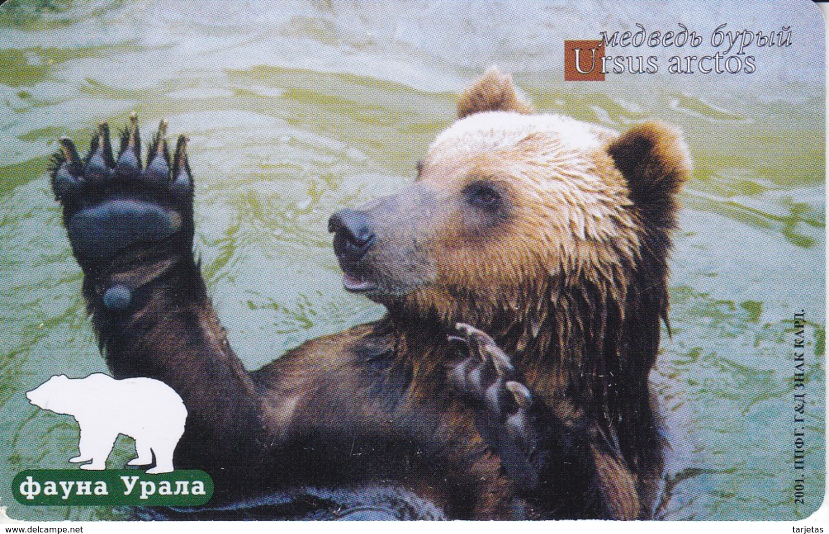TARJETA DE RUSIA DE 70 UNITS DE UN OSO (BEAR) - Rusia