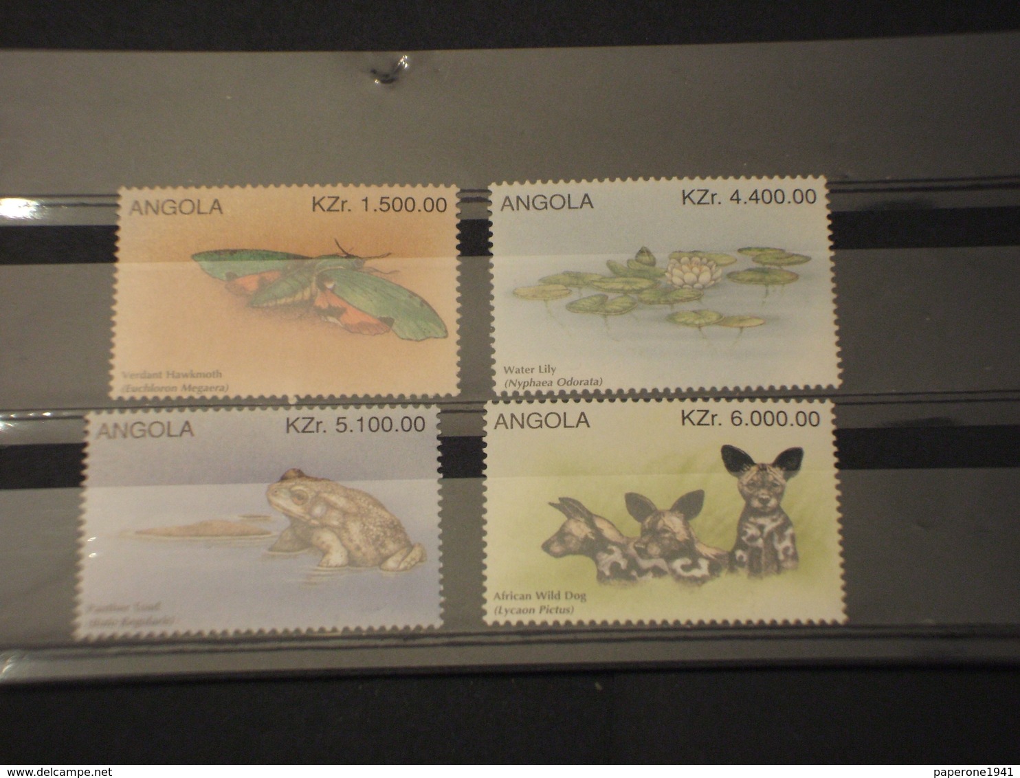 ANGOLA - 1996 FAUNA/CANI/RANA/INSETTO...... 4 VALORI - NUOVI(++) - Angola