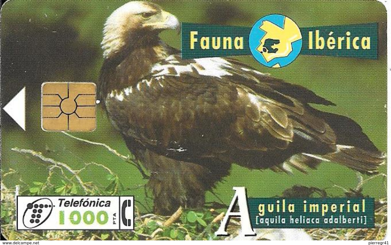 CARTE-PUCE-ESPAGNE-Solaic-05/96-AIGLE IMPERIAL-TBE- - Adler & Greifvögel