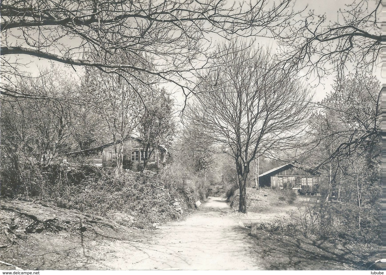 Arcegno - Campo Enrico Pestalozzi La Ciossa          Ca. 1950 - Campo