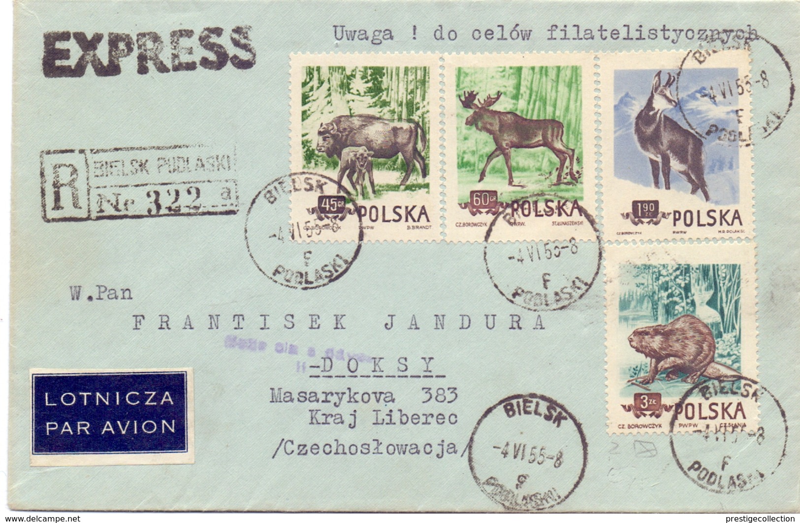 POLAND  AIR MAIL EXPRESS REGISTRED MAIL COVER 1953  2 PIECES FANTASTIC BIELSK   (FEB200148) - Selvaggina