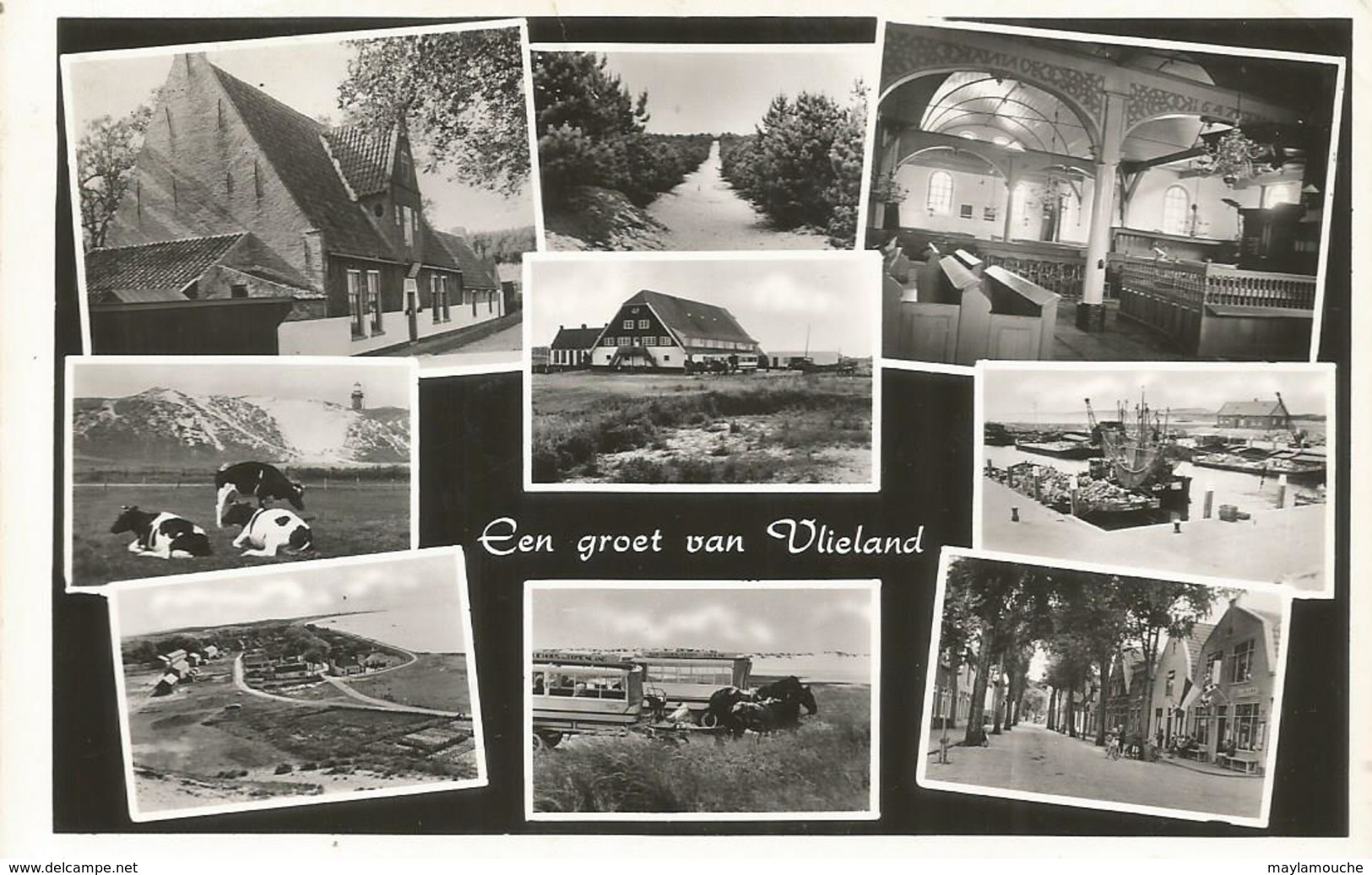 Vlieland - Vlieland