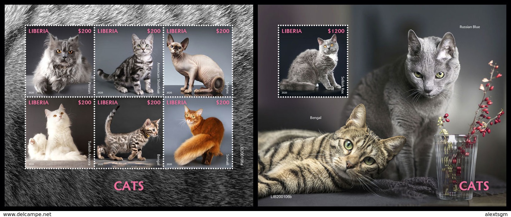 LIBERIA 2020 - Cats. M/S + S/S. Official Issue [LIB200106] - Gatti