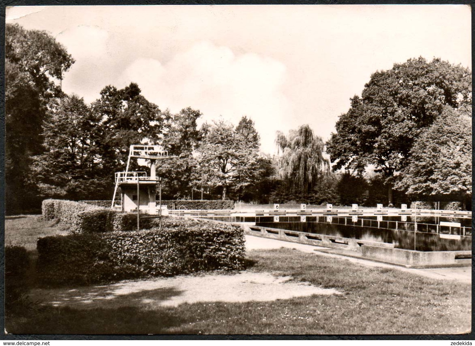 D3542 - Naunhof Kr. Grimma Waldbad Freibad - Bild Und Heimat Reichenbach - Grimma