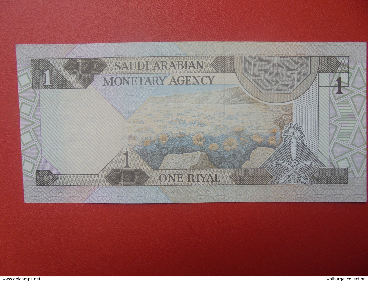 ARABIE SAOUDITE 1 RIYAL 1984 CIRCULER (B.5) - Arabie Saoudite