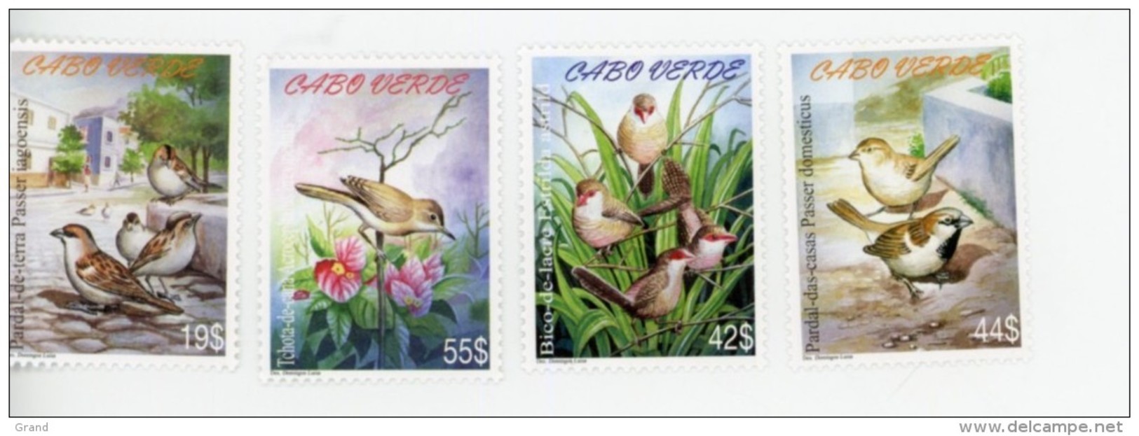 Cap Vert-Cabo Verde-2005-Oiseaux-844/7**MNH - Cap Vert